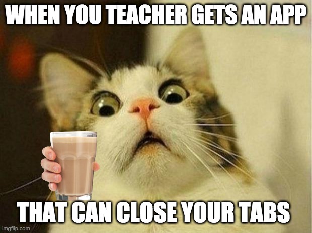 OH god it real... | WHEN YOU TEACHER GETS AN APP; THAT CAN CLOSE YOUR TABS | image tagged in memes,scared cat,oh no you didn't | made w/ Imgflip meme maker