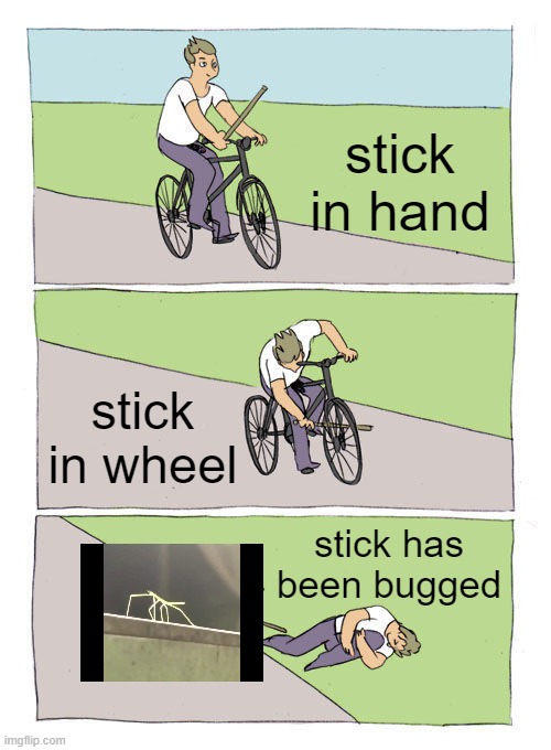 stick | stick in hand; stick in wheel; stick has been bugged | image tagged in memes,bike fall,get stick bugged lol | made w/ Imgflip meme maker