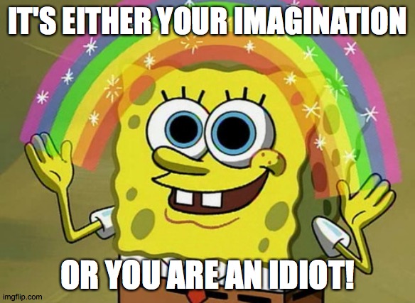 Who knows which? | IT'S EITHER YOUR IMAGINATION; OR YOU ARE AN IDIOT! | image tagged in memes,imagination spongebob,idiot | made w/ Imgflip meme maker