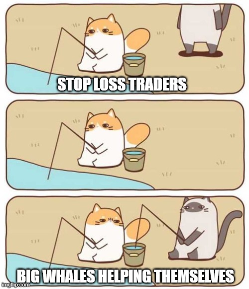 stop loss investors vs big whales | STOP LOSS TRADERS; BIG WHALES HELPING THEMSELVES | image tagged in cat fishing | made w/ Imgflip meme maker
