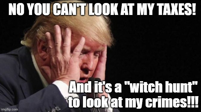 Criminal Trump says investigating his crimes is a witch hunt | NO YOU CAN'T LOOK AT MY TAXES! And it's a "witch hunt"
to look at my crimes!!! | image tagged in trump,taxes,crime,criminal,prison,treason | made w/ Imgflip meme maker