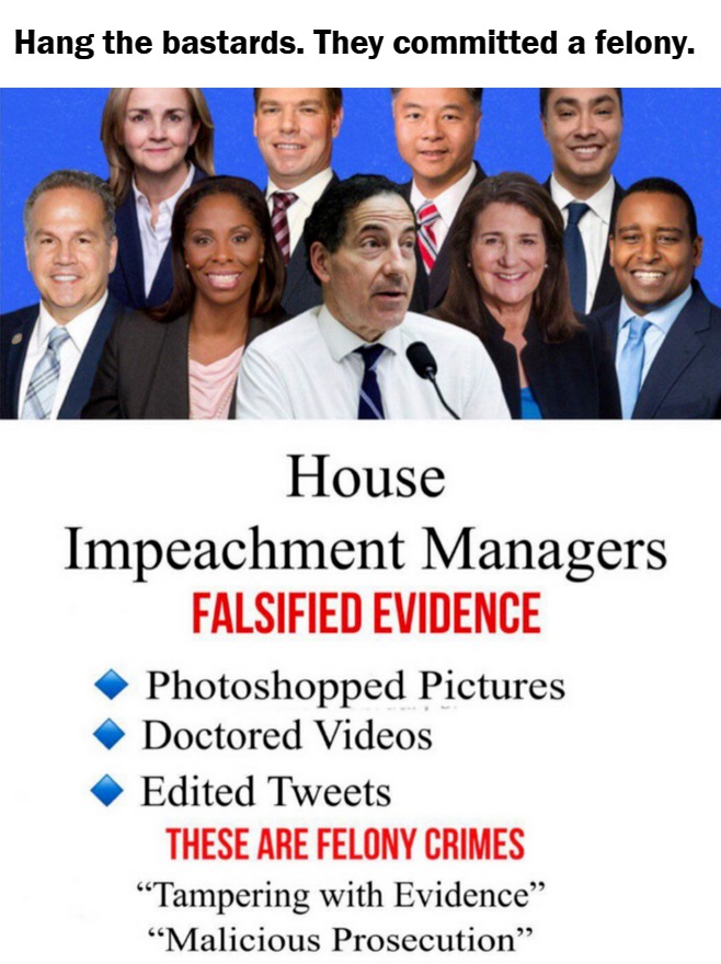 House Impeachment Managers Falsified Evidence | Hang the bastards. They committed a felony. | image tagged in hang the bastards,felonious activities,criminal minds,sedition,insurrection,treason | made w/ Imgflip meme maker