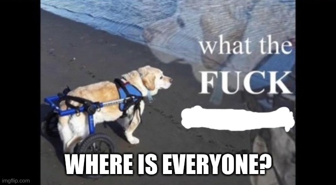 where is everyone? | WHERE IS EVERYONE? | image tagged in wtf | made w/ Imgflip meme maker