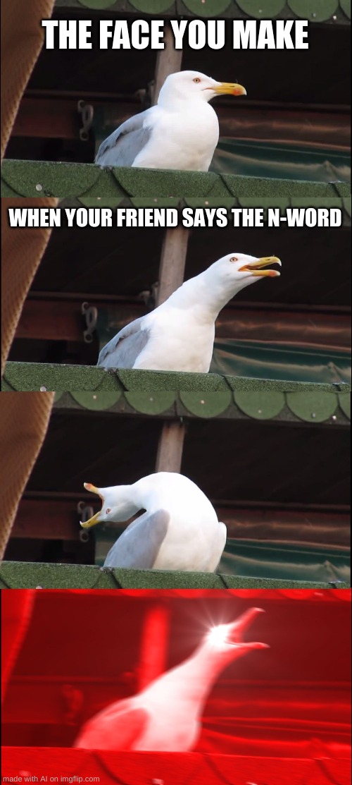 Inhaling Seagull Meme | THE FACE YOU MAKE; WHEN YOUR FRIEND SAYS THE N-WORD | image tagged in memes,inhaling seagull | made w/ Imgflip meme maker