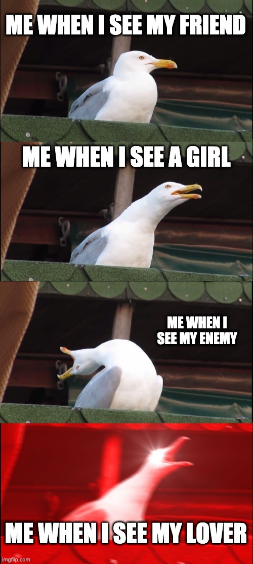 Inhaling Seagull Meme | ME WHEN I SEE MY FRIEND; ME WHEN I SEE A GIRL; ME WHEN I SEE MY ENEMY; ME WHEN I SEE MY LOVER | image tagged in memes,inhaling seagull | made w/ Imgflip meme maker