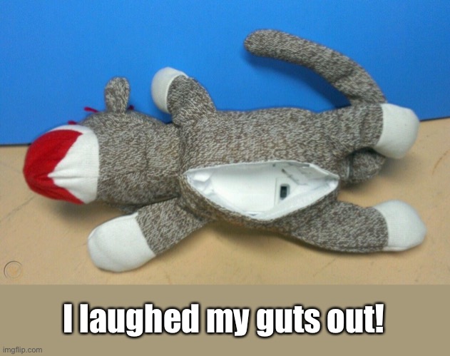 I laughed my guts out! | made w/ Imgflip meme maker