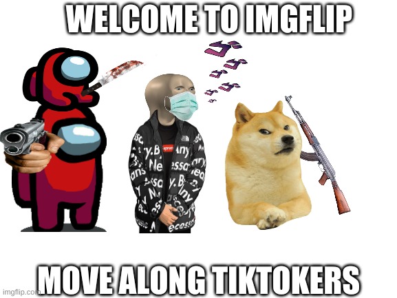 Population: MEMES | WELCOME TO IMGFLIP; MOVE ALONG TIKTOKERS | image tagged in blank white template | made w/ Imgflip meme maker