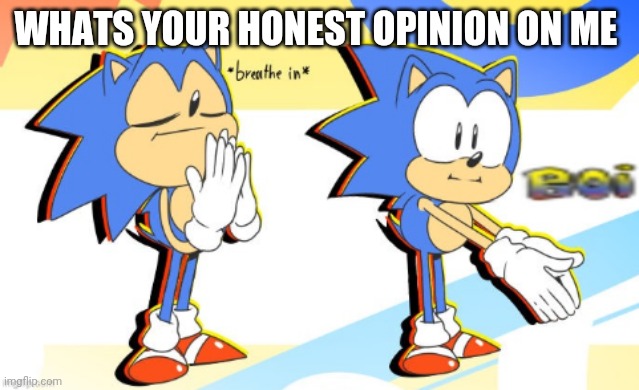 Sonic Boi | WHATS YOUR HONEST OPINION ON ME | image tagged in sonic boi | made w/ Imgflip meme maker