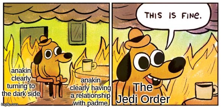 This Is Fine | anakin clearly having a relationship with padme; anakin clearly turning to the dark side; The Jedi Order | image tagged in memes,this is fine,star wars,anakin skywalker,padme,the jedi order | made w/ Imgflip meme maker