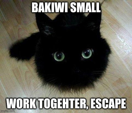 Soot Cat | BAKIWI SMALL; WORK TOGEHTER, ESCAPE | image tagged in soot cat | made w/ Imgflip meme maker