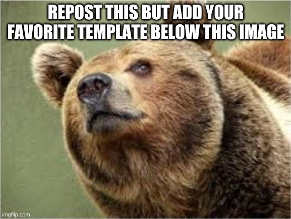 :D | REPOST THIS BUT ADD YOUR FAVORITE TEMPLATE BELOW THIS IMAGE | image tagged in memes,smug bear | made w/ Imgflip meme maker