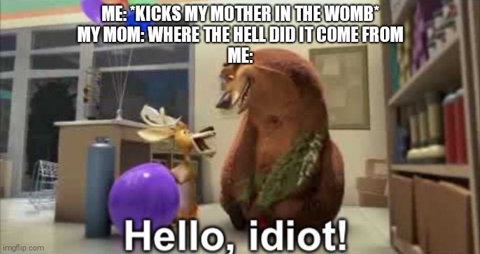 Hello, idiot | ME: *KICKS MY MOTHER IN THE WOMB*
MY MOM: WHERE THE HELL DID IT COME FROM
ME: | image tagged in hello idiot,women,babies | made w/ Imgflip meme maker