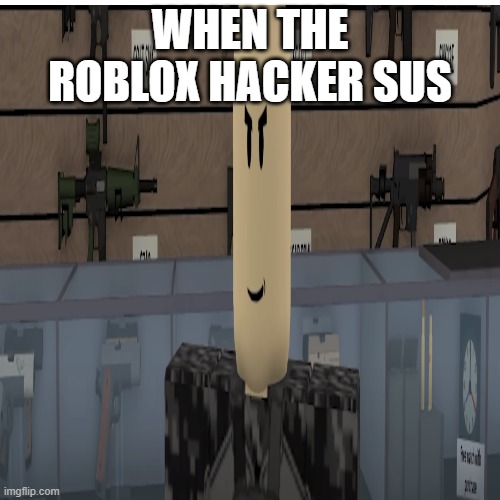 when the roblox hacker sus | WHEN THE ROBLOX HACKER SUS | image tagged in funny | made w/ Imgflip meme maker