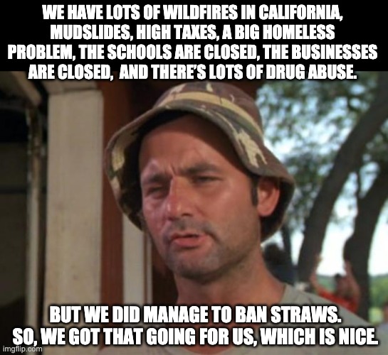 We got that | WE HAVE LOTS OF WILDFIRES IN CALIFORNIA, MUDSLIDES, HIGH TAXES, A BIG HOMELESS PROBLEM, THE SCHOOLS ARE CLOSED, THE BUSINESSES ARE CLOSED,  AND THERE’S LOTS OF DRUG ABUSE. BUT WE DID MANAGE TO BAN STRAWS. SO, WE GOT THAT GOING FOR US, WHICH IS NICE. | image tagged in memes,so i got that goin for me which is nice | made w/ Imgflip meme maker