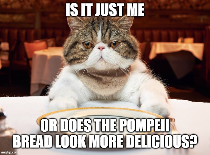 hungry cat | IS IT JUST ME OR DOES THE POMPEII BREAD LOOK MORE DELICIOUS? | image tagged in hungry cat | made w/ Imgflip meme maker