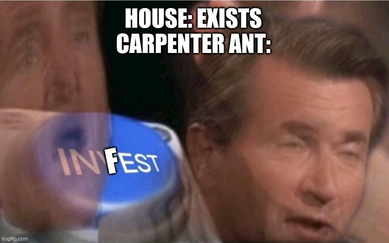 We all know this is true deep down. | HOUSE: EXISTS
CARPENTER ANT:; F | image tagged in invest | made w/ Imgflip meme maker