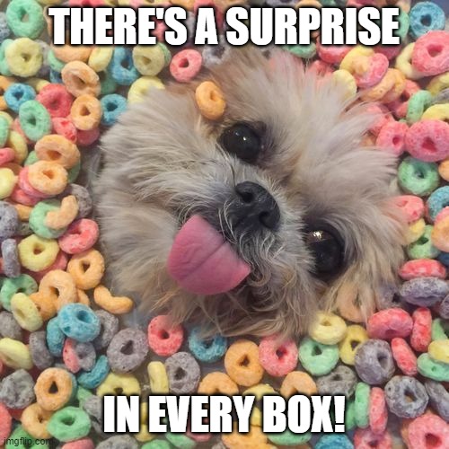 froot loop doogo | THERE'S A SURPRISE IN EVERY BOX! | image tagged in froot loop doogo | made w/ Imgflip meme maker
