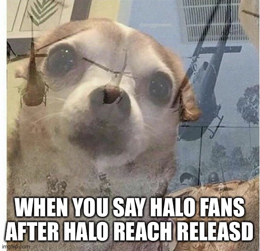 PTSD Chihuahua | WHEN YOU SAY HALO FANS AFTER HALO REACH RELEASED | image tagged in ptsd chihuahua | made w/ Imgflip meme maker