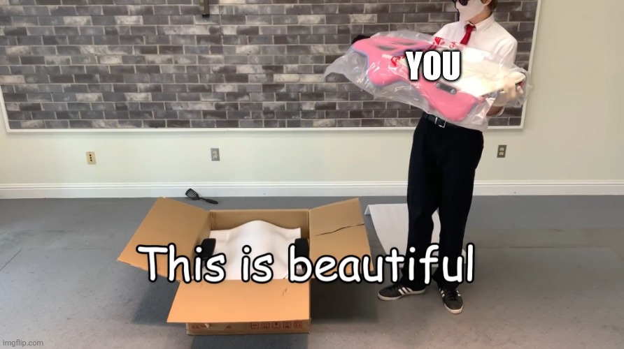 This Is Beautiful | YOU | image tagged in this is beautiful | made w/ Imgflip meme maker