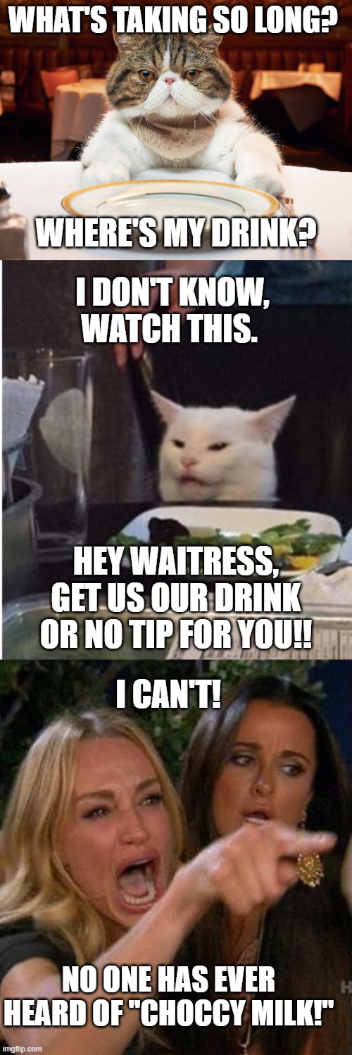 Oh .....waitress |  WHAT'S TAKING SO LONG? WHERE'S MY DRINK? I DON'T KNOW, WATCH THIS. HEY WAITRESS, GET US OUR DRINK OR NO TIP FOR YOU!! I CAN'T! NO ONE HAS EVER HEARD OF "CHOCCY MILK!" | image tagged in hungry cat,angry lady cat | made w/ Imgflip meme maker