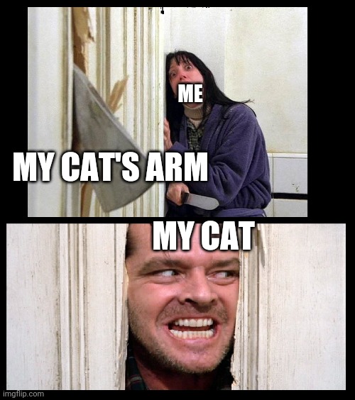 Made this | ME; MY CAT'S ARM; MY CAT | image tagged in here's jhonny | made w/ Imgflip meme maker