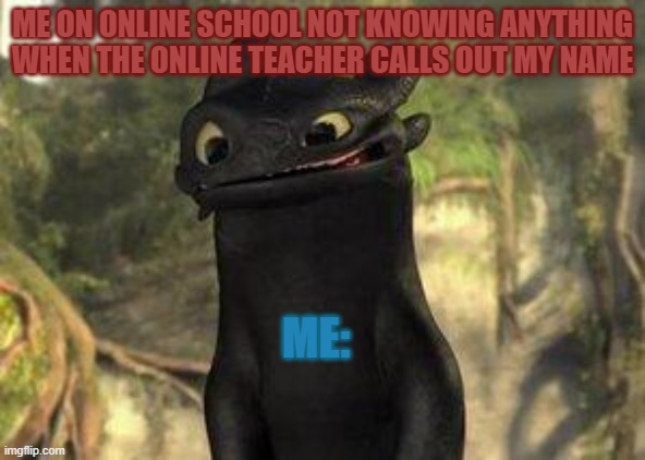 Toothless | ME ON ONLINE SCHOOL NOT KNOWING ANYTHING WHEN THE ONLINE TEACHER CALLS OUT MY NAME; ME: | image tagged in toothless | made w/ Imgflip meme maker