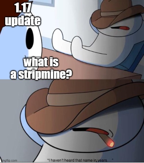 i haven't heard that name in years | 1.17 update; what is a stripmine? | image tagged in i haven't heard that name in years | made w/ Imgflip meme maker
