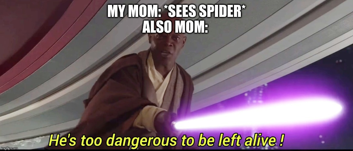 He's too dangerous to be left alive! | MY MOM: *SEES SPIDER*
ALSO MOM: | image tagged in he's too dangerous to be left alive | made w/ Imgflip meme maker