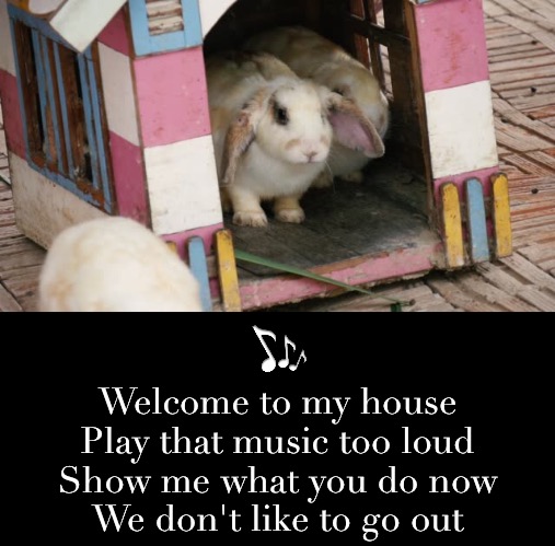 Welcome to my house
Play that music too loud
Show me what you do now
We don't like to go out | made w/ Imgflip meme maker