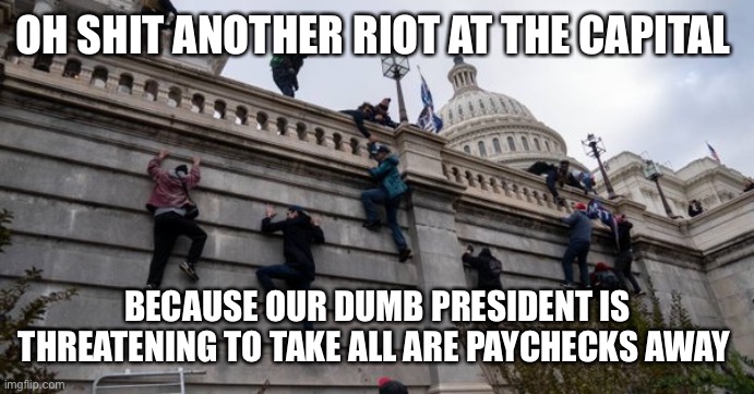 capitol riot | OH SHIT ANOTHER RIOT AT THE CAPITAL; BECAUSE OUR DUMB PRESIDENT IS THREATENING TO TAKE ALL ARE PAYCHECKS AWAY | image tagged in capitol riot | made w/ Imgflip meme maker