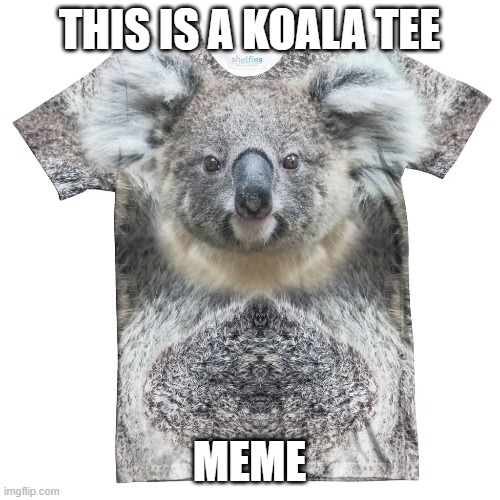THIS IS A KOALA TEE; MEME | image tagged in memes,puns,koala,quality | made w/ Imgflip meme maker