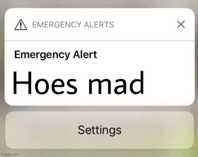 bReAkInG nEwS | image tagged in memes,funny,emergency alert,hoes,mad | made w/ Imgflip meme maker