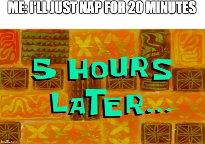 Just a quick nap | ME: I'LL JUST NAP FOR 20 MINUTES | image tagged in 5 hours later | made w/ Imgflip meme maker