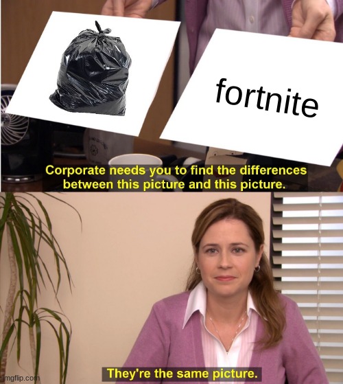 They're The Same Picture | fortnite | image tagged in memes,they're the same picture | made w/ Imgflip meme maker