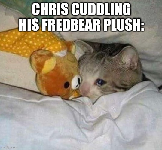 Crying cat | CHRIS CUDDLING HIS FREDBEAR PLUSH: | image tagged in crying cat | made w/ Imgflip meme maker