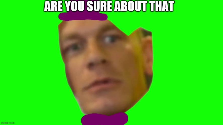 Jon Cena Are You Sure About That | ARE YOU SURE ABOUT THAT | image tagged in jon cena are you sure about that | made w/ Imgflip meme maker