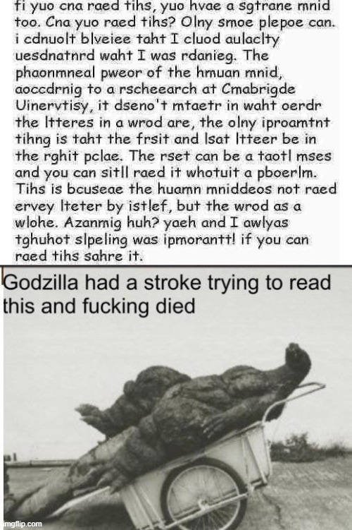 how can some people read this | image tagged in godzilla,memes | made w/ Imgflip meme maker