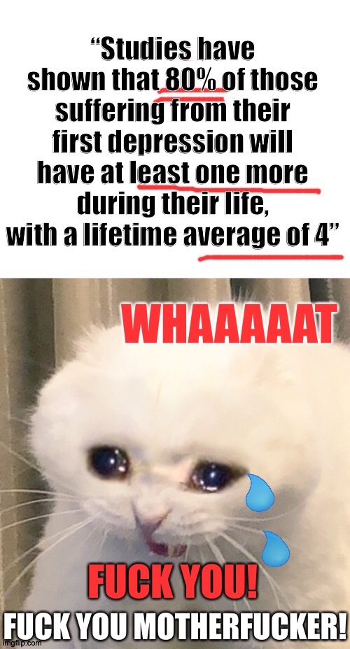 Never ending | WHAAAAAT; FUCK YOU! FUCK YOU MOTHERFUCKER! | image tagged in screaming cat,crying cat | made w/ Imgflip meme maker