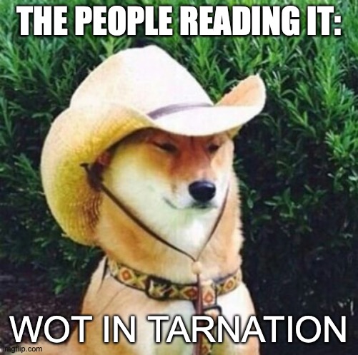 Wot in Tarnation Dog | THE PEOPLE READING IT: WOT IN TARNATION | image tagged in wot in tarnation dog | made w/ Imgflip meme maker