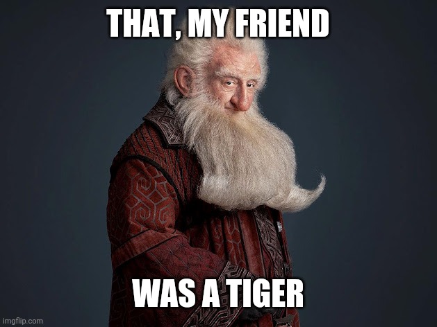 Balin | THAT, MY FRIEND WAS A TIGER | image tagged in balin | made w/ Imgflip meme maker