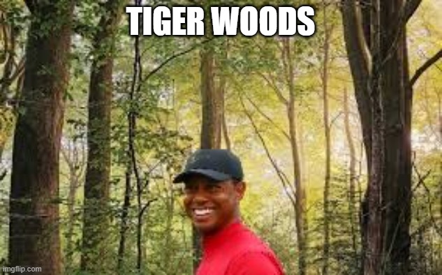 Tiger Woods | TIGER WOODS | image tagged in memes | made w/ Imgflip meme maker
