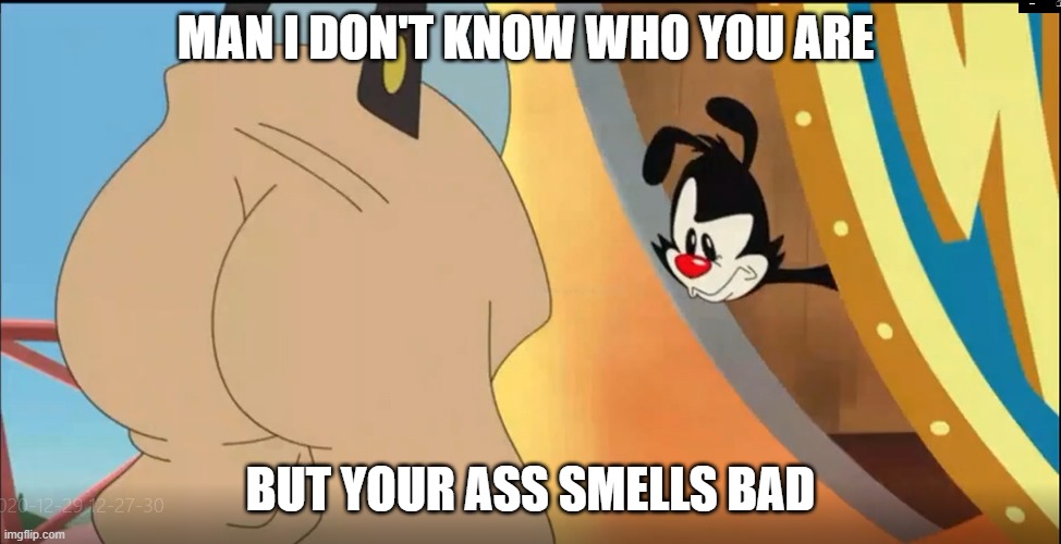 Butt | MAN I DON'T KNOW WHO YOU ARE; BUT YOUR ASS SMELLS BAD | image tagged in animaniacs | made w/ Imgflip meme maker