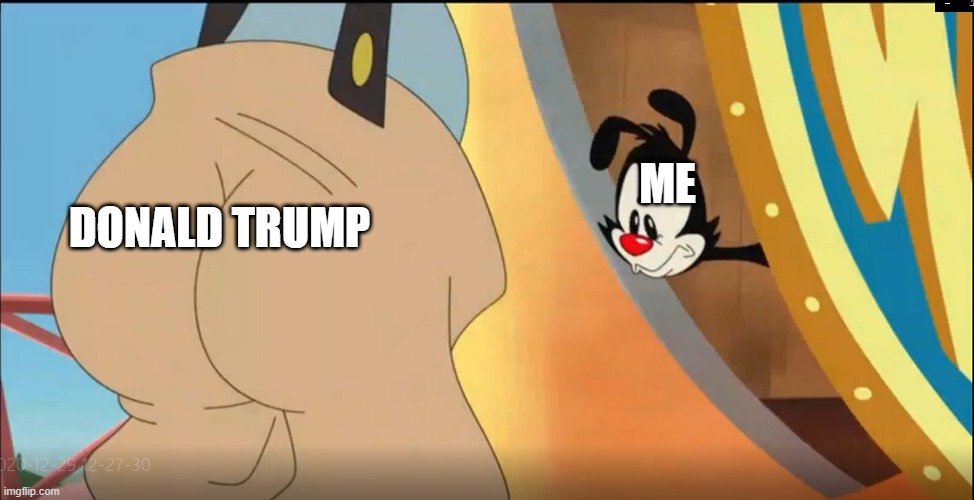 Animaniacs | ME; DONALD TRUMP | image tagged in yakko looking at but | made w/ Imgflip meme maker
