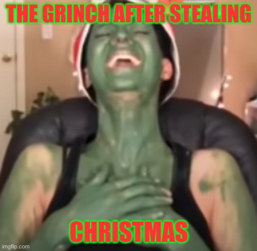 A Grinch MEME (Original) | THE GRINCH AFTER STEALING; CHRISTMAS | image tagged in the grinch,funny meme | made w/ Imgflip meme maker