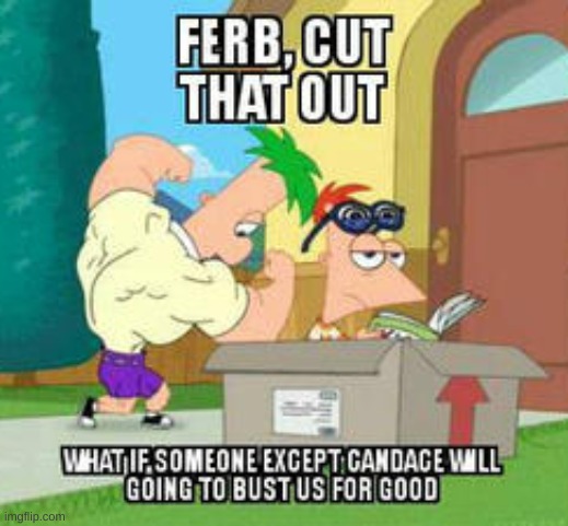 wha- | image tagged in memes,funny,wtf,phineas and ferb,idk | made w/ Imgflip meme maker