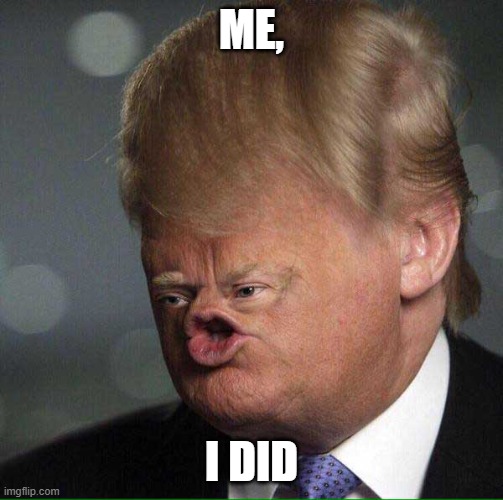 Trumpy | ME, I DID | image tagged in trumpy | made w/ Imgflip meme maker