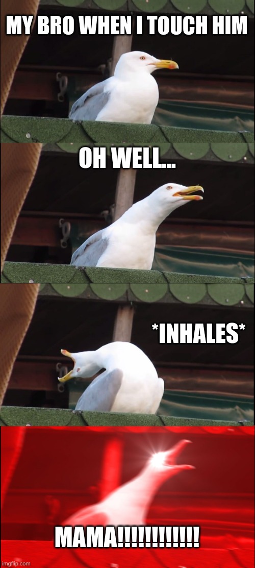 Inhaling Seagull |  MY BRO WHEN I TOUCH HIM; OH WELL... *INHALES*; MAMA!!!!!!!!!!!! | image tagged in memes,inhaling seagull | made w/ Imgflip meme maker
