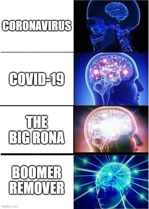 the boomer remover | CORONAVIRUS; COVID-19; THE BIG RONA; BOOMER REMOVER | image tagged in memes,expanding brain,covid-19 | made w/ Imgflip meme maker