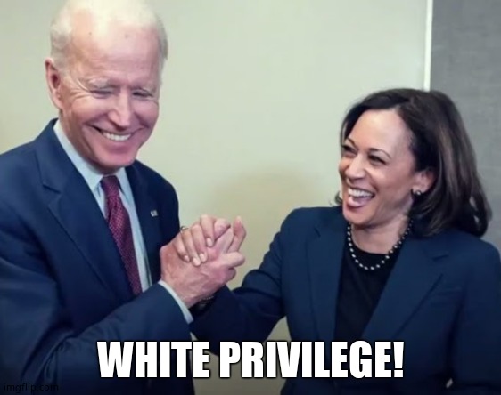 Biden and Harris | WHITE PRIVILEGE! | image tagged in biden and harris | made w/ Imgflip meme maker