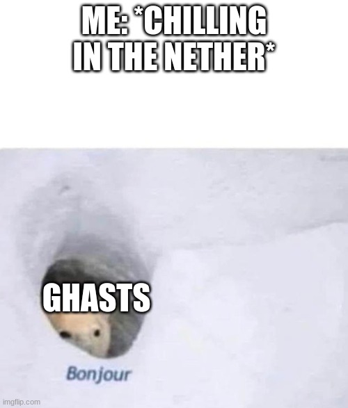 Bonjour | ME: *CHILLING IN THE NETHER*; GHASTS | image tagged in bonjour | made w/ Imgflip meme maker